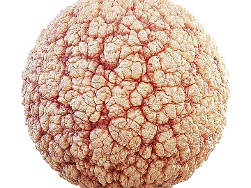 Biological PBR texture (ID:ffach592994)