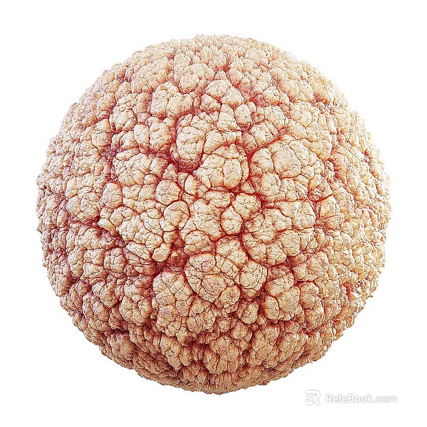 Biological PBR texture