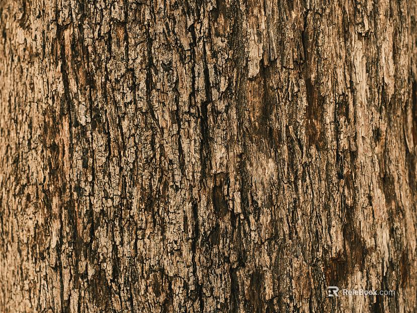 bark texture
