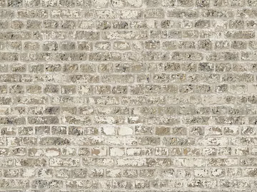 Brick wall texture (ID:ffajg62532)