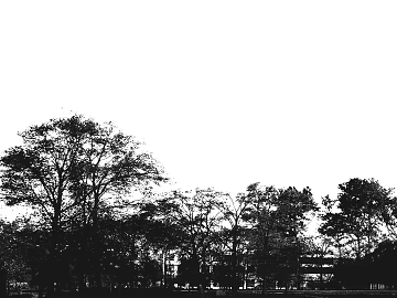 black and white painting texture (ID:ffaag05271)