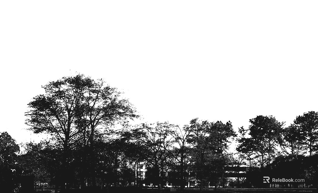 black and white painting texture