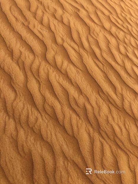 Beach texture