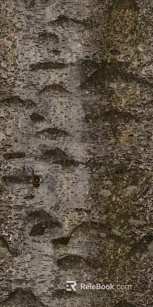 bark texture