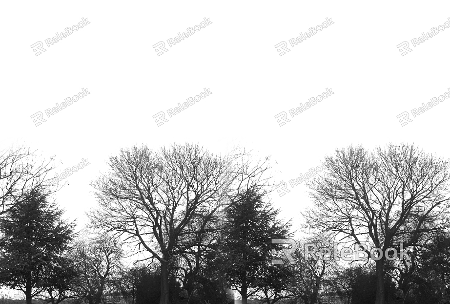 black and white tree shadow texture