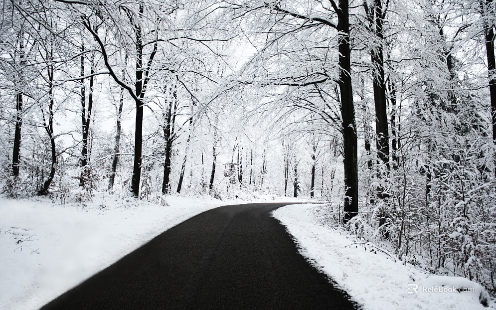Snow texture