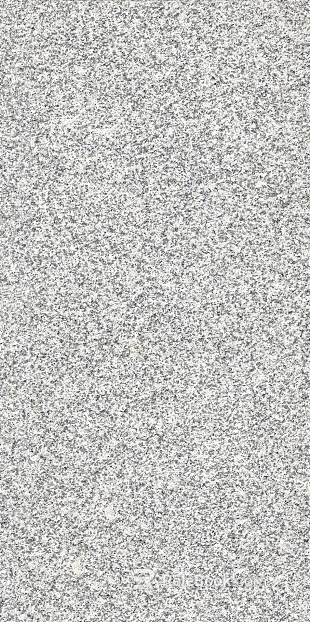 White Sesame Surface Granite Stone texture