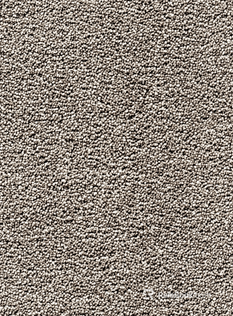 pile carpet texture