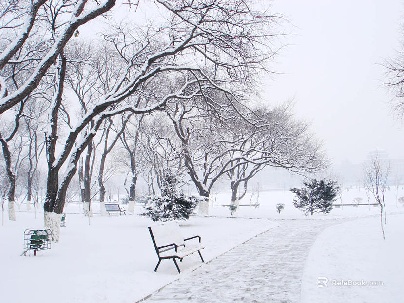 Snow texture