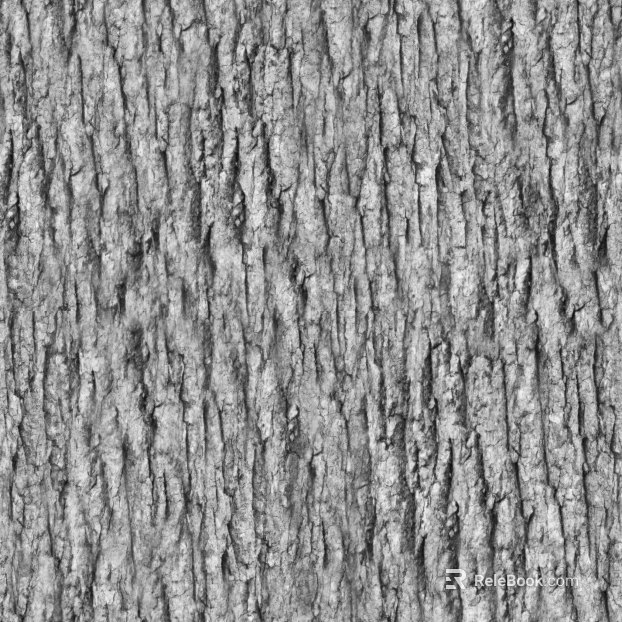 bark texture