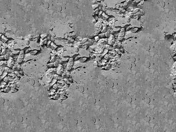 Cement wall old gray wall texture (ID:ffaeg24167)