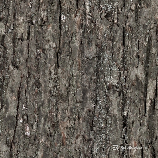 bark texture