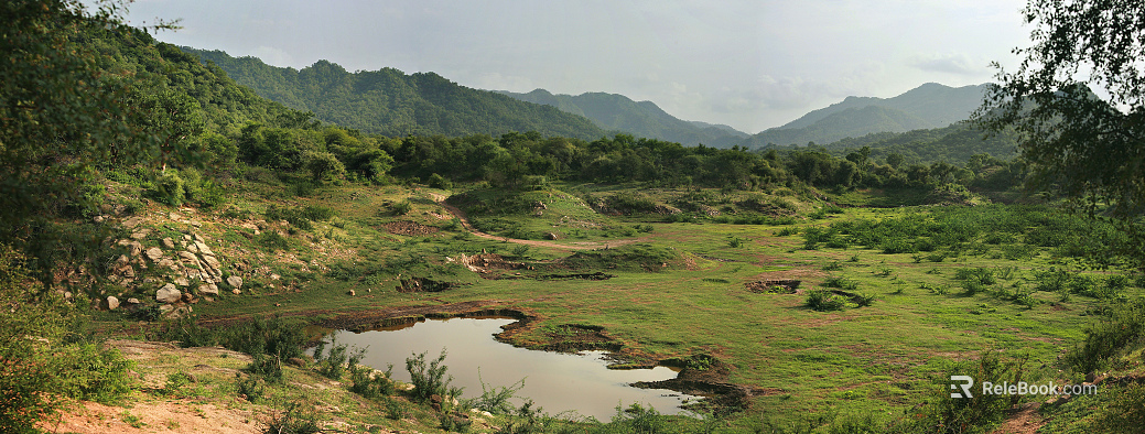 Wild Scenery texture