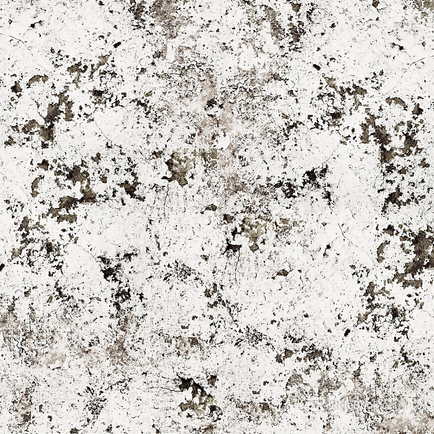 Cement texture