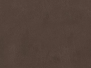 fine grain leather texture (ID:ffabg38772)