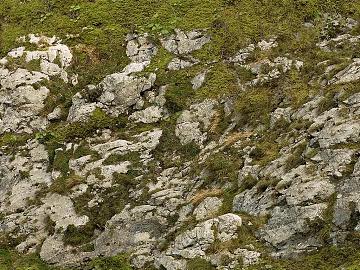 gray stone moss rock wall texture (ID:ffaeh499866)