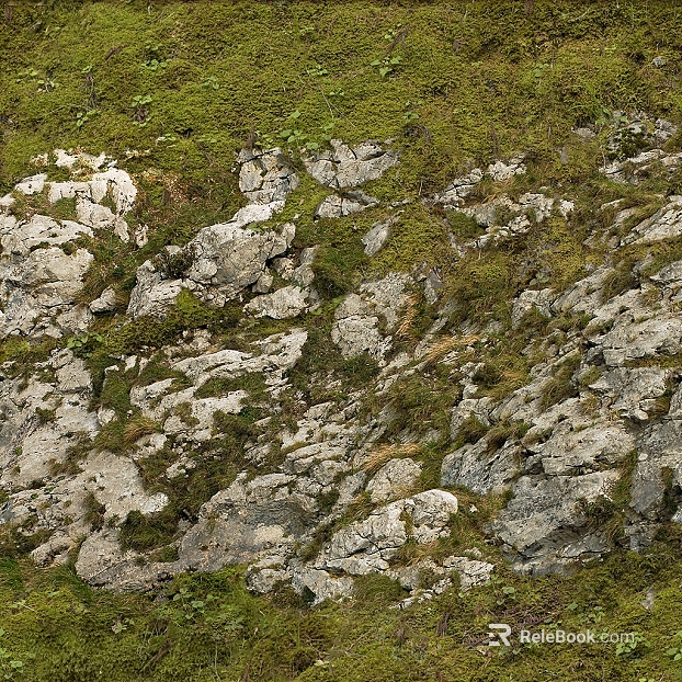 gray stone moss rock wall texture