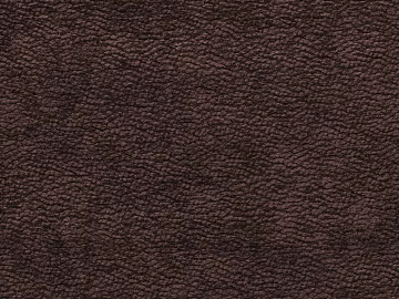 Coarse-grain leather texture (ID:ffaag28475)