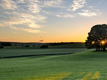 Wild Scenery texture (ID:ffaeg76356)