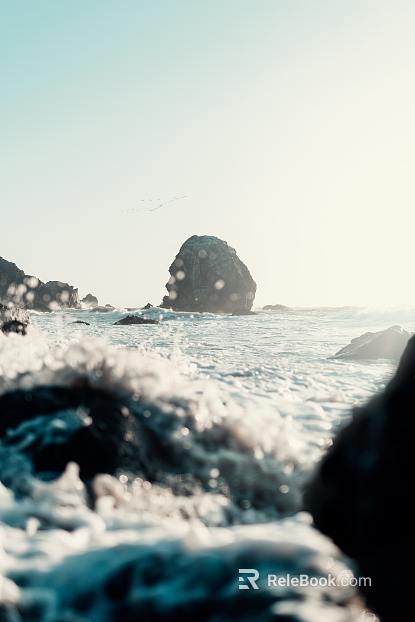 Wild Scenery texture