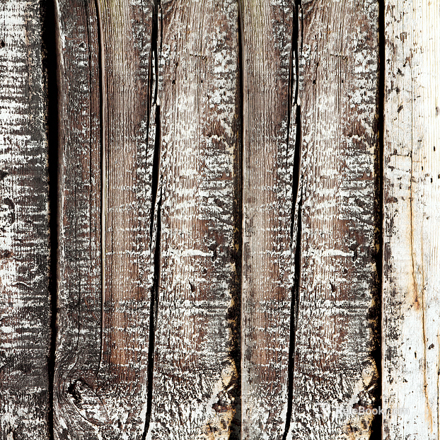 old wood texture