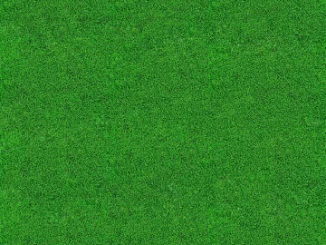 Turf texture (ID:ffagg63737)