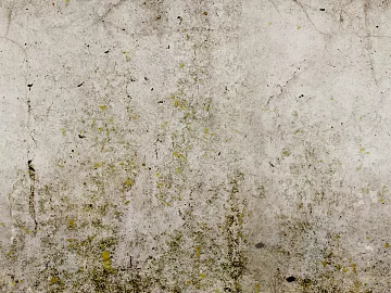 Cement wall White exterior wall texture (ID:ffagg68400)