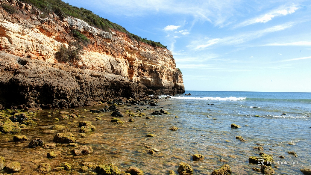 Wild Scenery texture