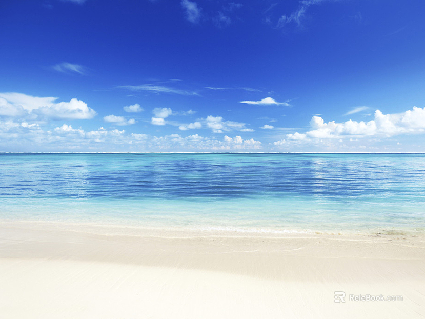 Beach texture