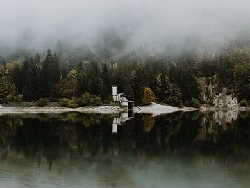 Wild Scenery texture (ID:ffagg58087)