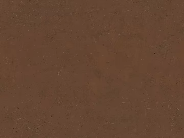 Mud 3d model