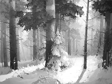 Wild Scenery texture (ID:ffabg60948)