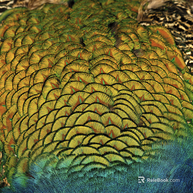 animal hair texture