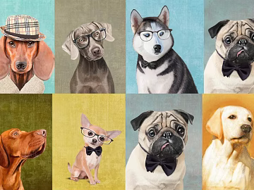 Animal painting texture (ID:ffaeg88321)