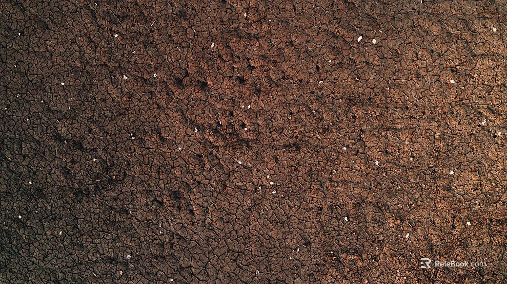 Mud texture