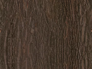 bark 3d model