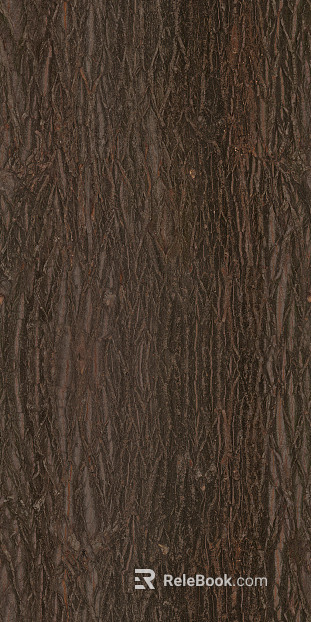 bark texture