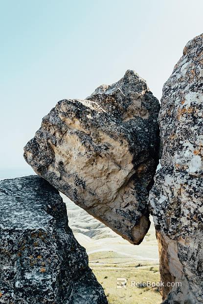Wild Scenery texture