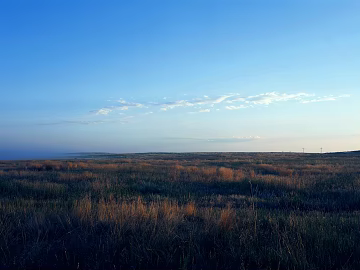 Wild Scenery texture (ID:ffajg09887)