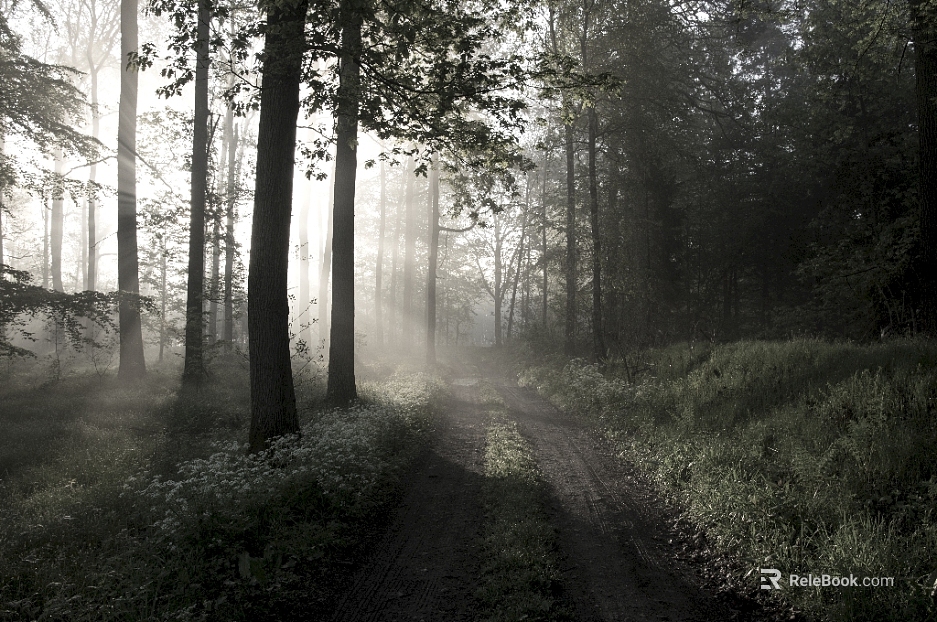 Wild Scenery texture
