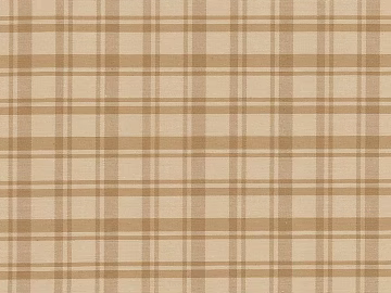Plaid texture (ID:ffacg71921)