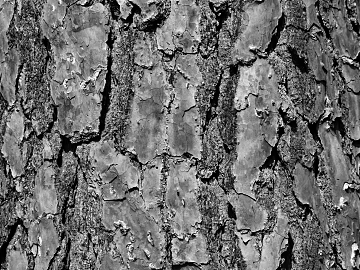 Black and White Bump texture (ID:ffaag84422)