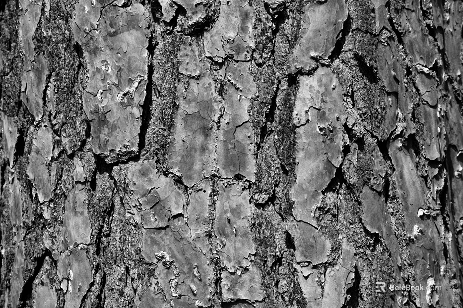 Black and White Bump texture