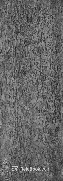 bark texture
