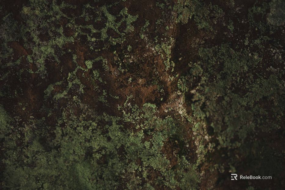 moss texture