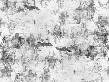 Light gray birch bark wall decoration texture (ID:ffaeh080626)