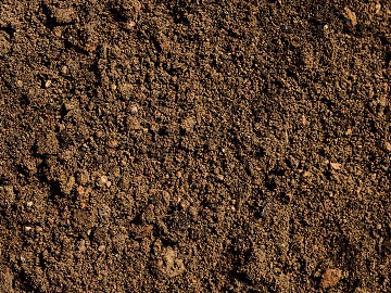 Mud texture (ID:ffacg97222)