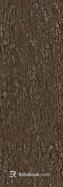 bark texture