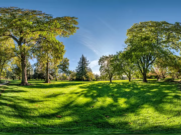 Blue sky white clouds lawn forest landscape panorama texture (ID:ffach954738)