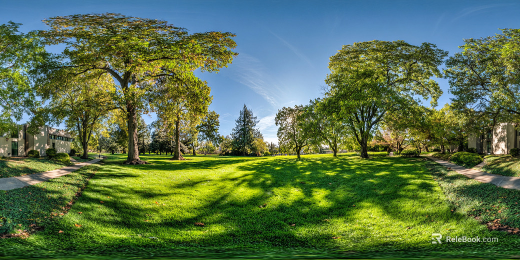 Blue sky white clouds lawn forest landscape panorama texture